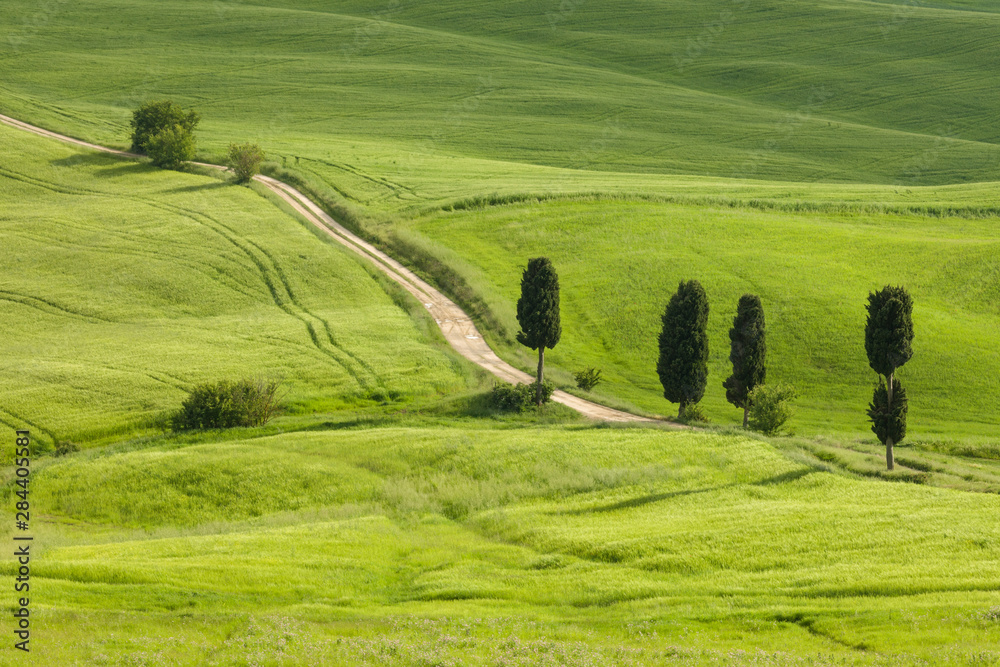 Italy, Tuscany. A country road meanders through lush green fields.