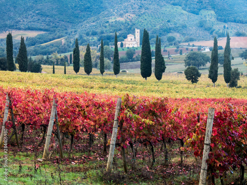 Принти на полотні Italy, Tuscany