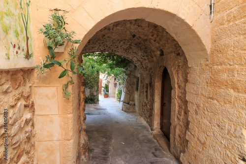 Italy  Foggia  Apulia  Gargano National Park  Vieste. Old city  pedestrian arched pathways  painted  grape-vine decorated streets.