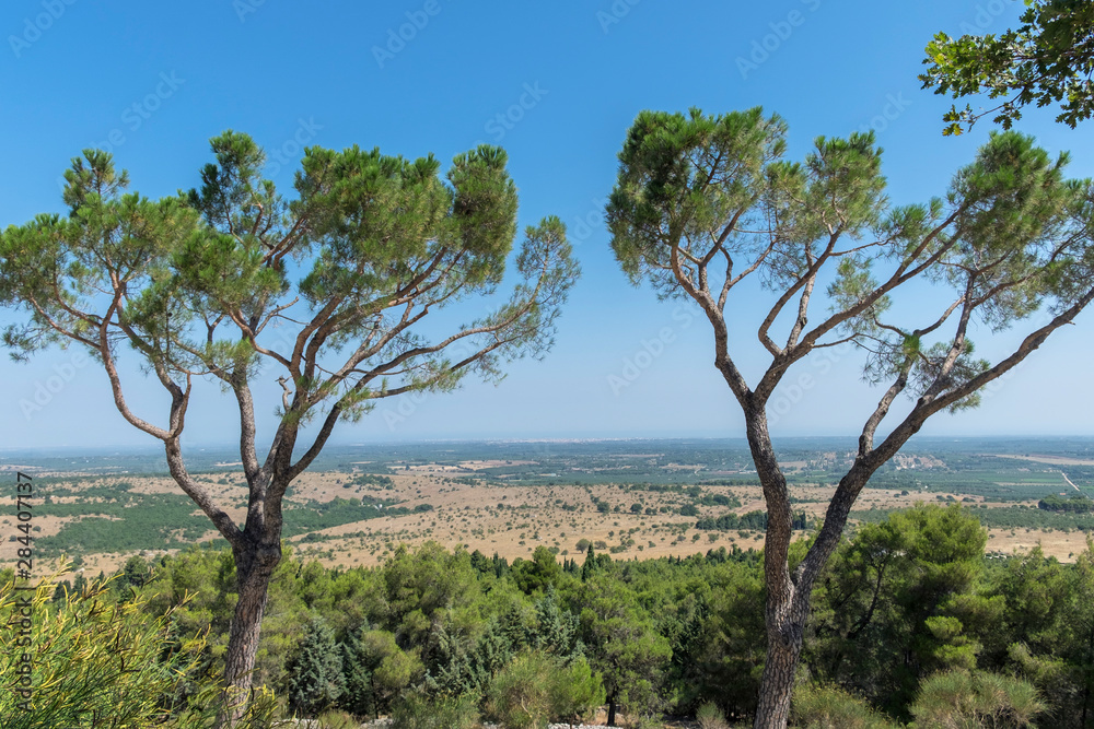 View of Andria landscape, Italy, Europe