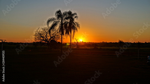 sunset on the farm