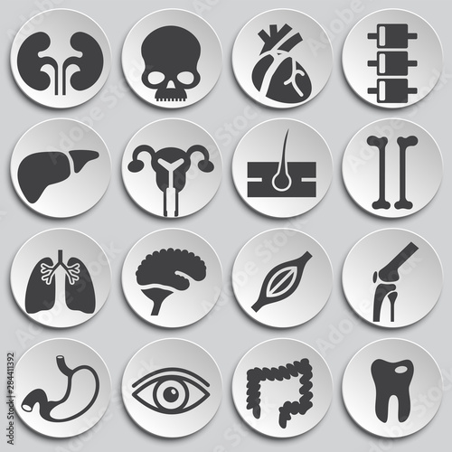 Human organs related icons set on background for graphic and web design. Simple illustration. Internet concept symbol for website button or mobile app.