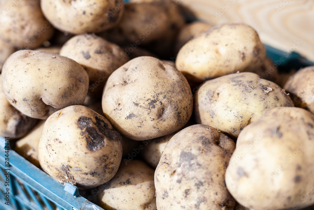 Potato in the market. Harvest potatoes. The unwashed potato lies a slide. Useful crop. Potato in the market. Harvest potatoes. The unwashed potato lies a slide. Useful crop.