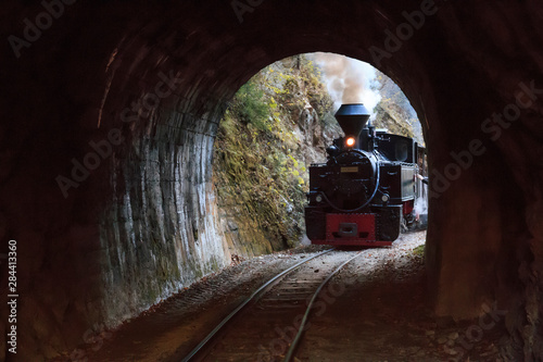 Romania, Viseu de Sus. Carpathian Forest Steam train. Vaser Valley Railway. Wood-burning, steam locomotive. Narrow-gauge railway. Initiated 1932.