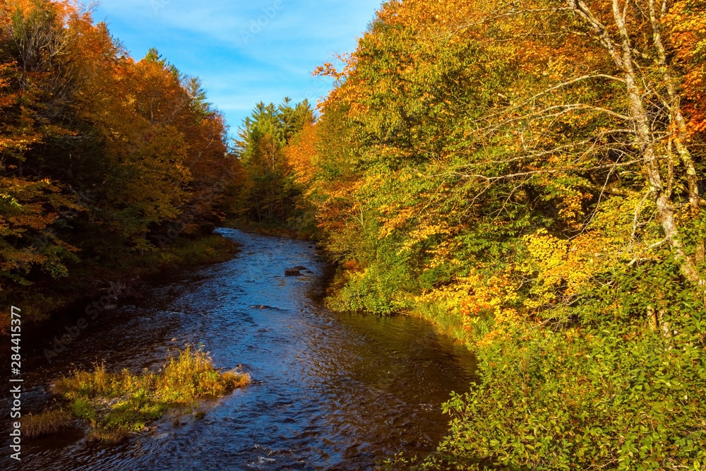 autumn landscape with river and trees in forest autumn landscape with river and trees in forest