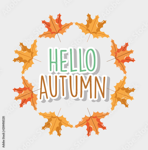 foliage leaves hello autumn season