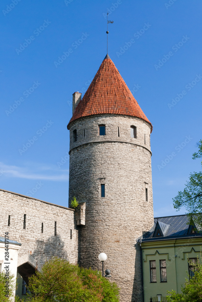 Fototapeta premium The old city walls of the Old Town of Tallinn, UNESCO World Heritage Site, Estonia, Baltic States