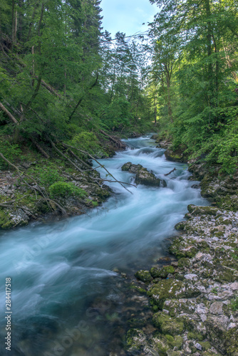 Slovenia, near Bled, Vintgar Gorge