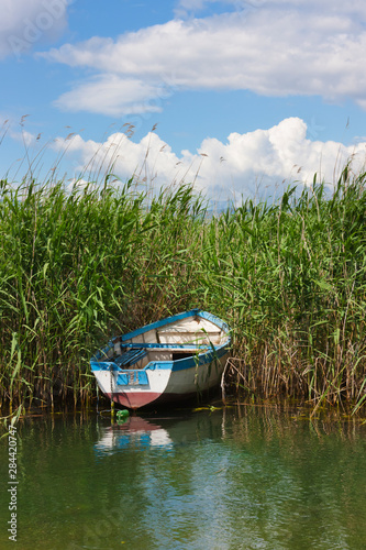 Fototapeta Naklejka Na Ścianę i Meble -  Canoe and reeds on Lake Ohrid, Republic of Macedonia