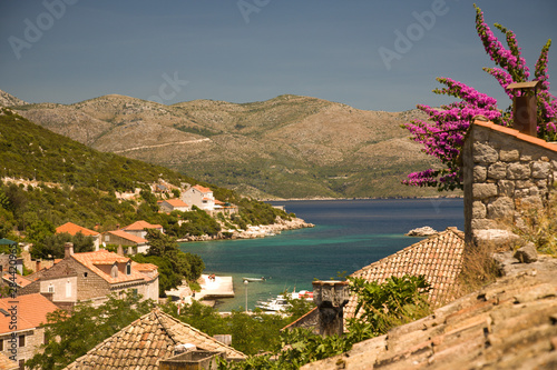 Views around Sudurad fishing village, Sipan Island. Boat tour of Elaphite Islands from Dubrovnik, Southeastern Tip of Croatia, Dalmation Coast, Adriatic Sea, Croatia, Eastern Europe photo