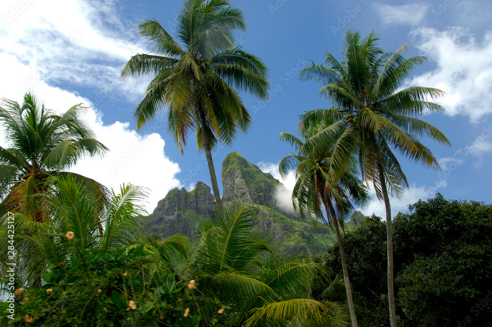 Obraz premium South Pacific, French Polynesia, Society Islands, Bora Bora