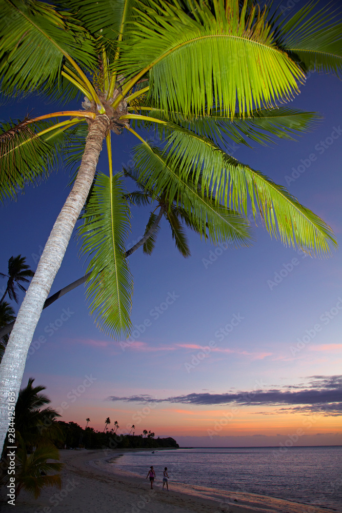 Palm trees and sunset, Plantation Island Resort, Malolo Lailai Island, Mamanuca Islands, Fiji, South Pacific