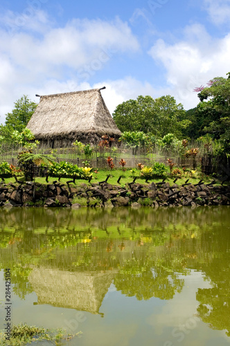 Traditional meeting house, Viti Levu, Fiji photo