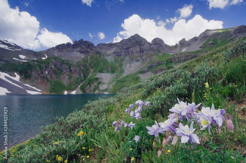 Clear Lake with wildflowers in alpine meadow, Blue Columbine, Colorado Columbine, Aquilegia coerulea, Ouray, San Juan Mountains, Rocky Mountains, Colorado, USA, July