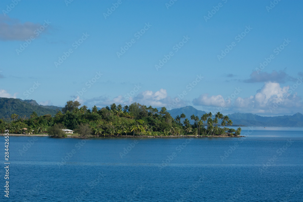 Society Islands, French Polynesia, Raiatea, Faaroa Bay. Scenic palm tree lined waterfront view.