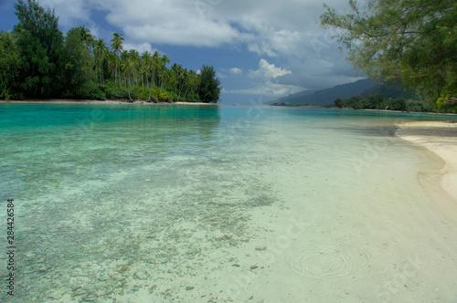 Fototapeta Naklejka Na Ścianę i Meble -  South Pacific, French Polynesia, Moorea. Shallow lagoon with white sand.