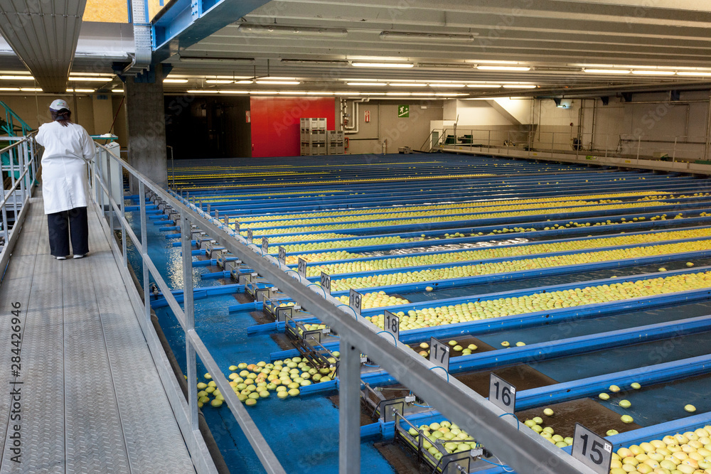 Apple automated warehouse
