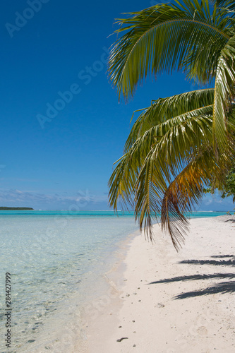 Fototapeta Naklejka Na Ścianę i Meble -  Cook Islands. Palmerston Island, a classic atoll, discovered by Captain Cook in 1774. Current population of 62 people, are all descendants of William Marsters (aka Masters).