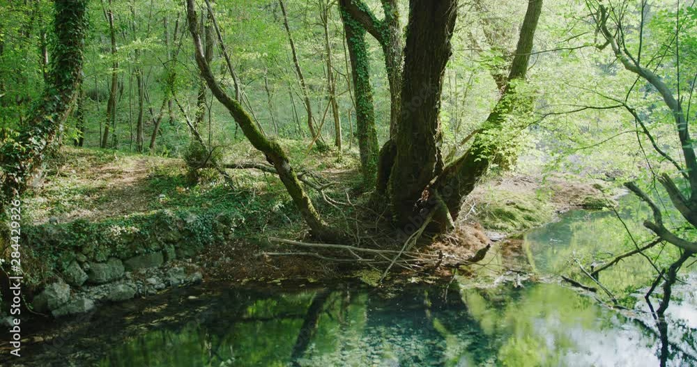 Source of the Grab stream, the tributary of the river Cetina, Croatia Source of the Grab stream, the tributary of the river Cetina, Croatia