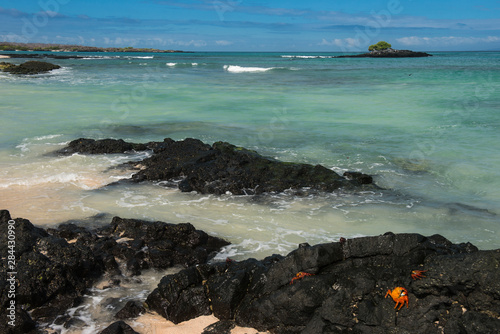 Las Bachas Beach, Santa Cruz Island, Galapagos Islands, Ecuador. photo