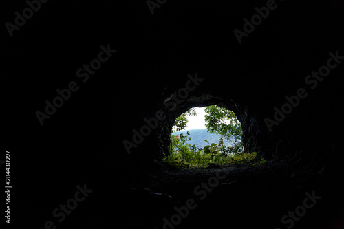 Brazil, Parana. View of plant life from tunnel.