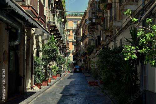 Fototapeta Naklejka Na Ścianę i Meble -  Typical Italian street in Catania. Narrow paved road with little trees and colorful buildings with small balconies on both sides