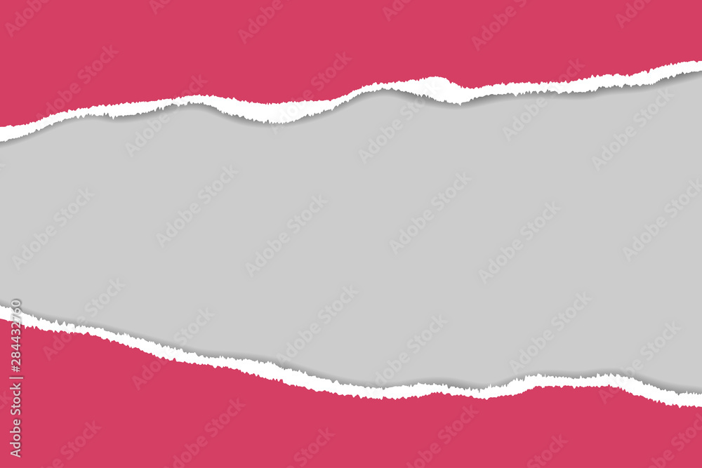 Ripped paper. Vector of ripped paper. The paper was ripped background. Ripped paper. Vector of ripped paper. The paper was ripped background.