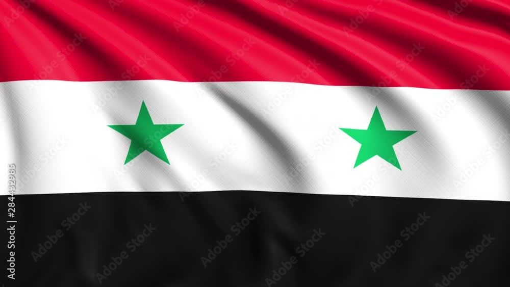 flag of Syria with fabric structure in the wind (loopable) flag of Syria with fabric structure in the wind (loopable)