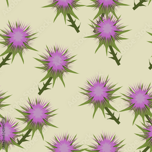 Seamless floral pattern with stylized branches of thistle flowers. photo