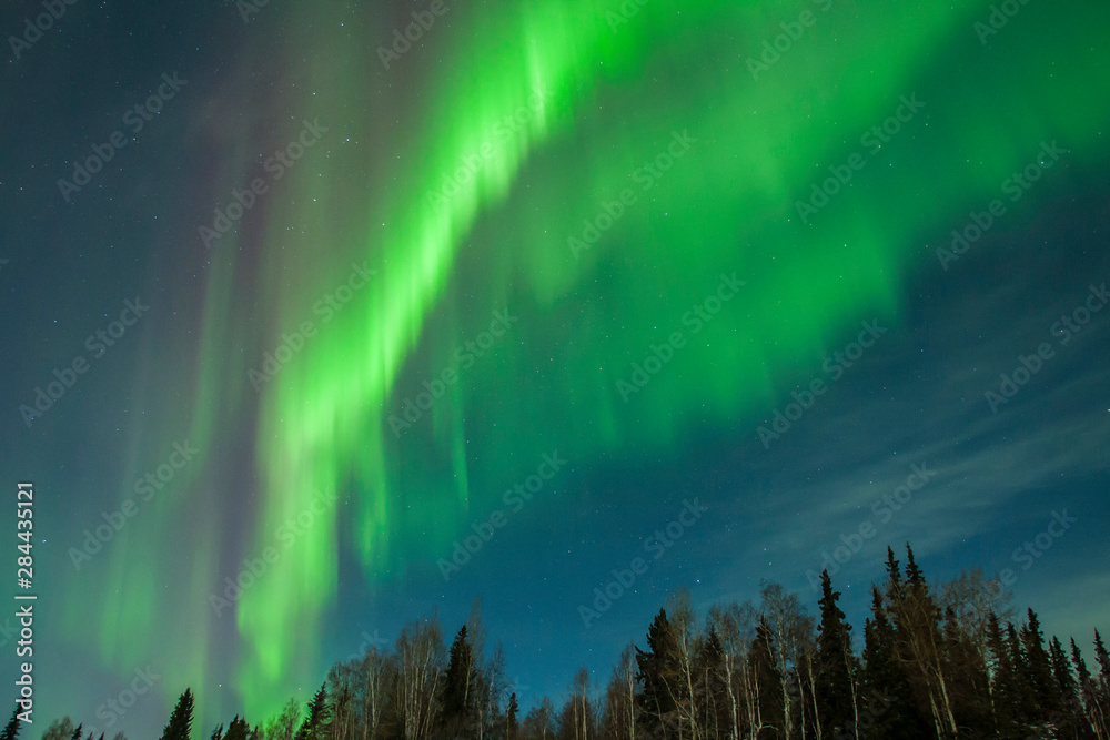 USA, Alaska. Aurora borealis over forest. Credit as: Cathy & Gordon Illg / Jaynes Gallery / DanitaDelimont.com