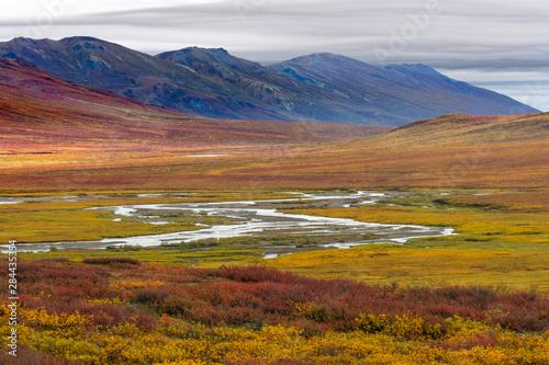USA, Alaska, Brooks Range. Tundra in fall color. Credit as: Don Paulson / Jaynes Gallery / DanitaDelimont.com © Jaynes Gallery/Danita Delimont