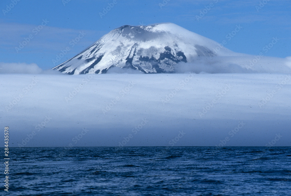 USA, Aleutian Islands, Amukta Island in Islands of Four Mountains, Fog and swarms of Northern Fulmars