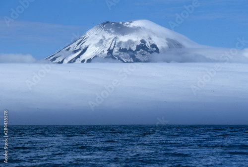 USA, Aleutian Islands, Amukta Island in Islands of Four Mountains, Fog and swarms of Northern Fulmars