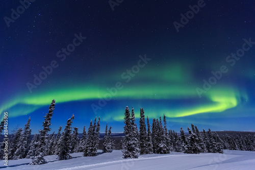 Aurora borealis, Northern Lights near Fairbanks, Alaska