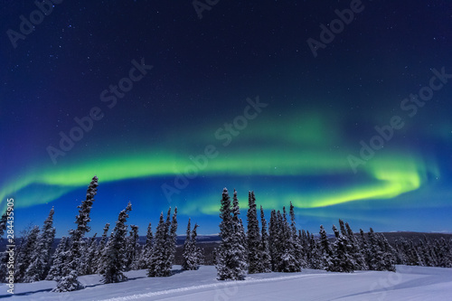 Aurora borealis, Northern Lights near Fairbanks, Alaska photo