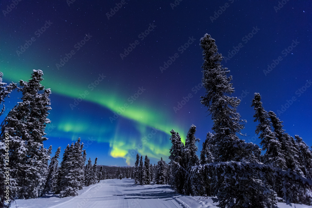 Aurora borealis, Northern Lights near Fairbanks, Alaska