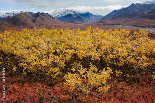 USA, Alaska, Fall Foliage
