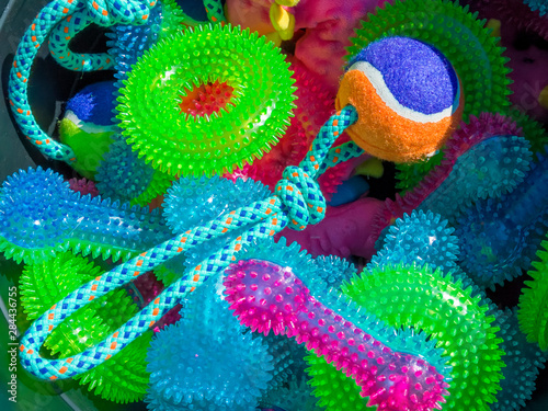 USA, Arizona, Buckeye. Close-up of colorful dog toys. © Jaynes Gallery/Danita Delimont