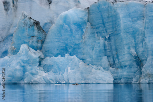 Fototapeta Naklejka Na Ścianę i Meble -  USA, Alaska, Alsek Lake. Blue ice on face of Great Plain Glacier. Credit as: Don Paulson / Jaynes Gallery / Danita Delimont.com 