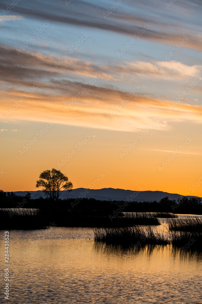 USA, California, Gray Lodge Waterfowl Management Area, at Butte Sink near Colusa, sunset
