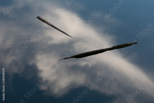 Usa, California. Clouds reflected in the Russian River with floating logs, Sonoma Coast, California, Usa.