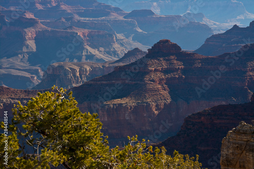 Morning, Pima Point, South Rim, Grand Canyon National Park, Arizona, USA