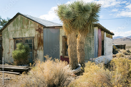 Принти на полотні Darwin, California, USA. Living ghost town, ramshackle building.