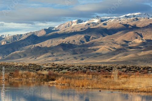 USA, California. White Mountains seen from Buckley Ponds at sunset in the Owens Valley near Bishop 