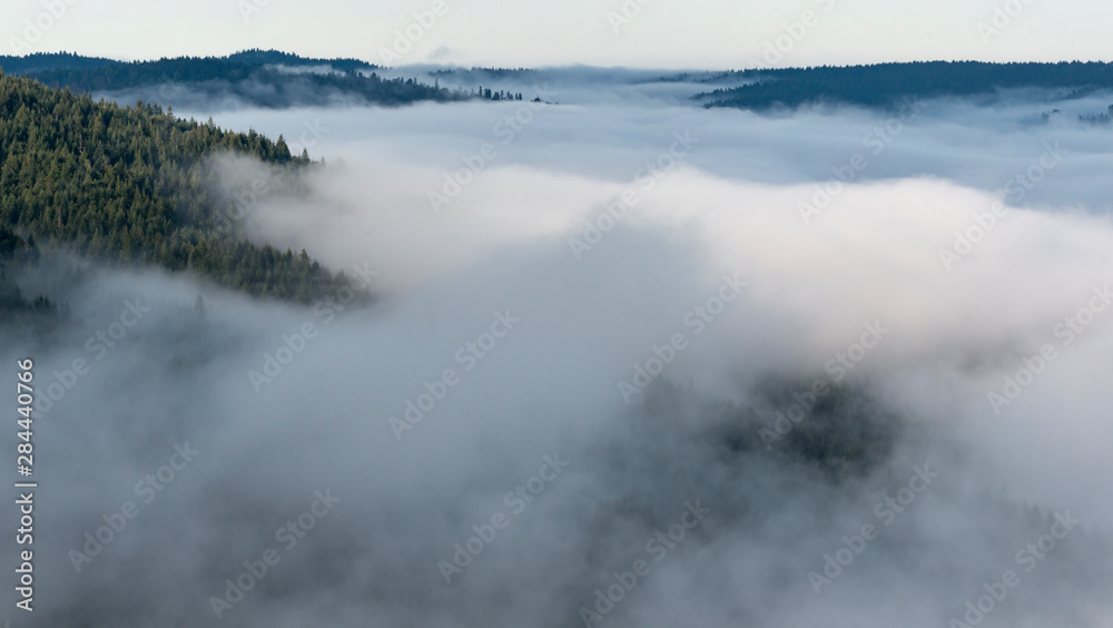 USA, California. Early morning fog filling the valley. View from Bald Hills Road, Redwood National Park