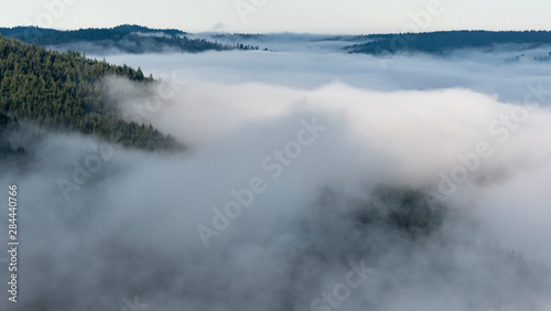 USA, California. Early morning fog filling the valley. View from Bald Hills Road, Redwood National Park