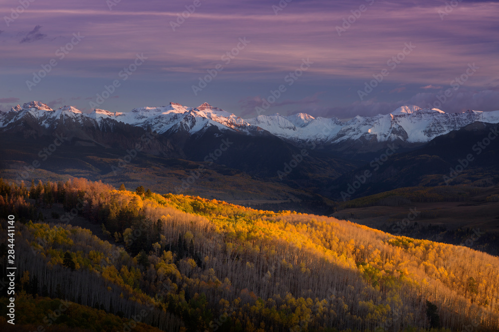 USA, Colorado, San Juan Mountains. Sunset bathes an aspen forest. 
