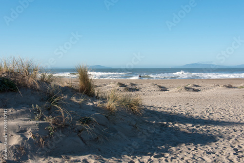 Usa, California, Oxnard. Walker on beach. Channel Islands beyond. Grasses in dunes