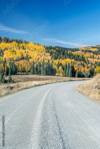 Usa, Colorado, Routt National Forest, Autumn Road in the Flat Tops Wilderness photo