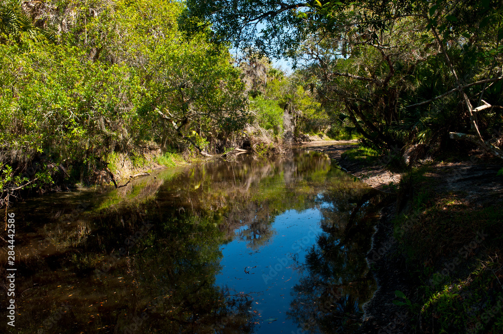 USA, Florida, Sarasota, Myakka River State Park, Clay Gully USA, Florida, Sarasota, Myakka River State Park, Clay Gully